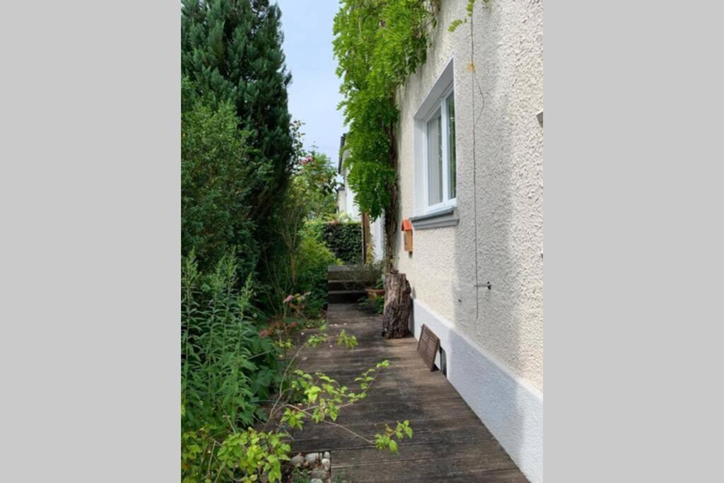 2-Zimmer-Apartment In Muenchen Ngoại thất bức ảnh